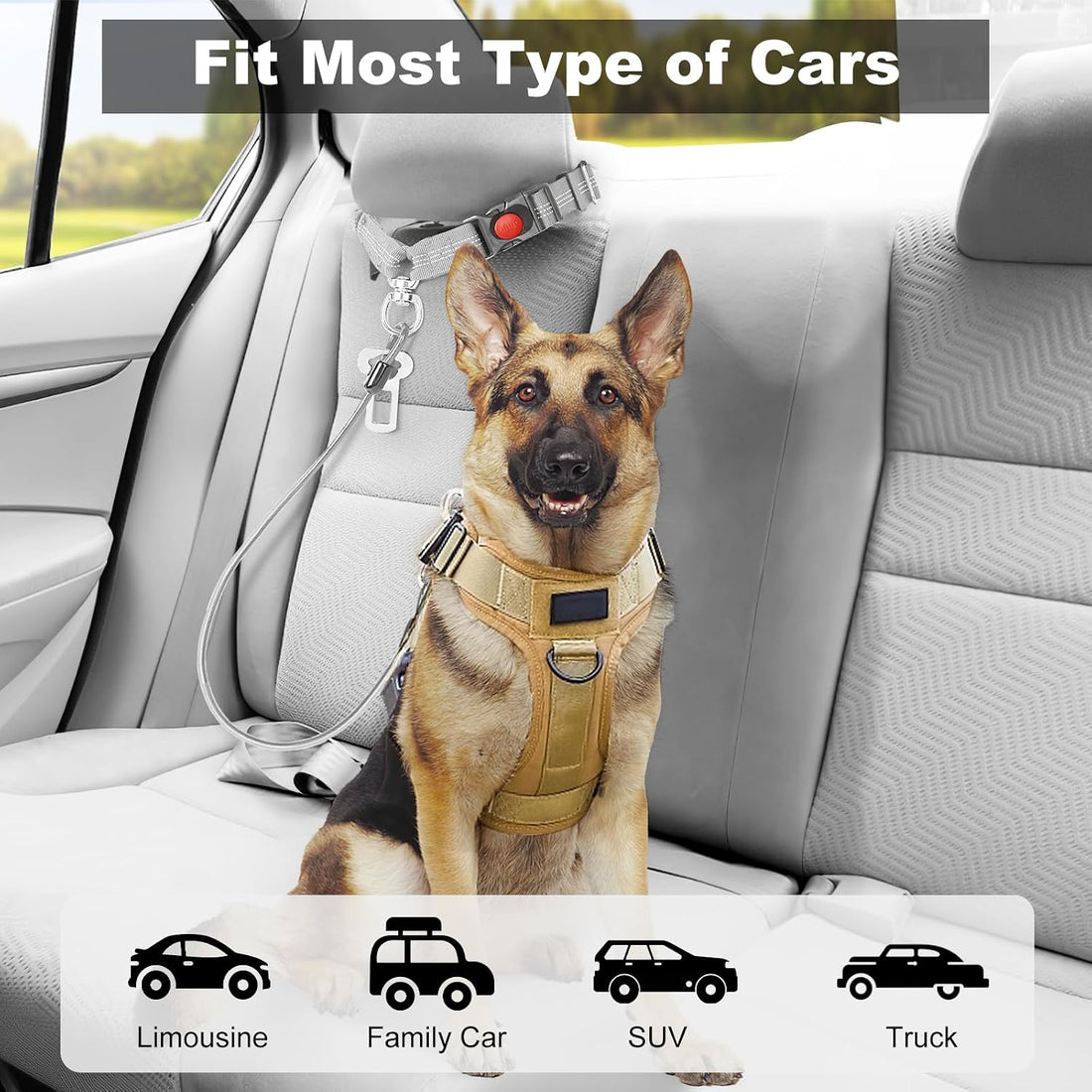 Dog Seat Belt for Car,Chew Proof Dog Car Seat Belt,2 in 1 Car Harness