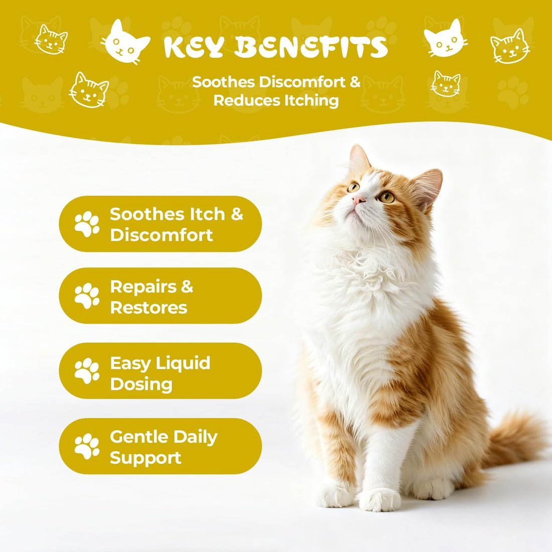 Mange Treatment Cats, Cat Mange & Itchy Skin Relief