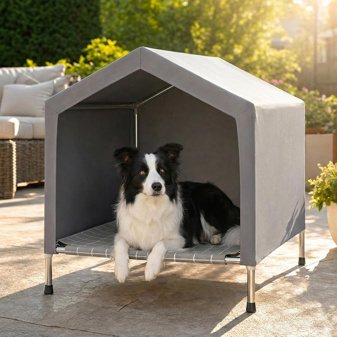 Elevated Dog House for Small Dogs