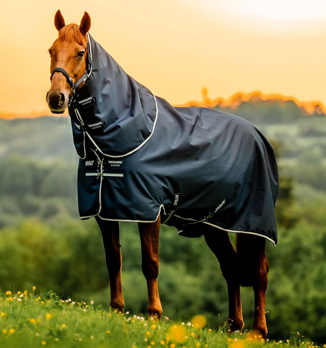 Amigo® Ripstop 900D Plus Turnout 0g - Witney Navy, 66 inches