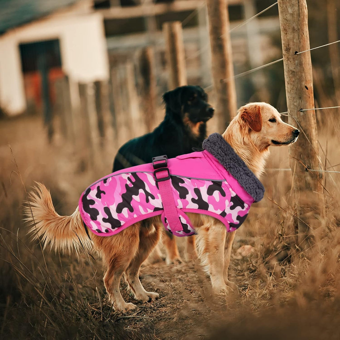 IECOii Extra Warm Dog Coat - Reflective Adjustable Jacket With Buckle