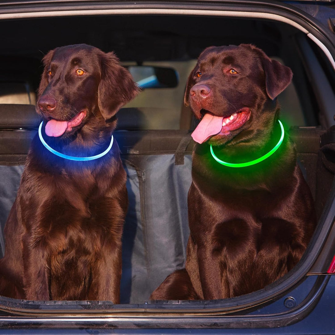 2 Packs Light Up Dog Collar, Kpuplol USB Rechargeable Dog Lights