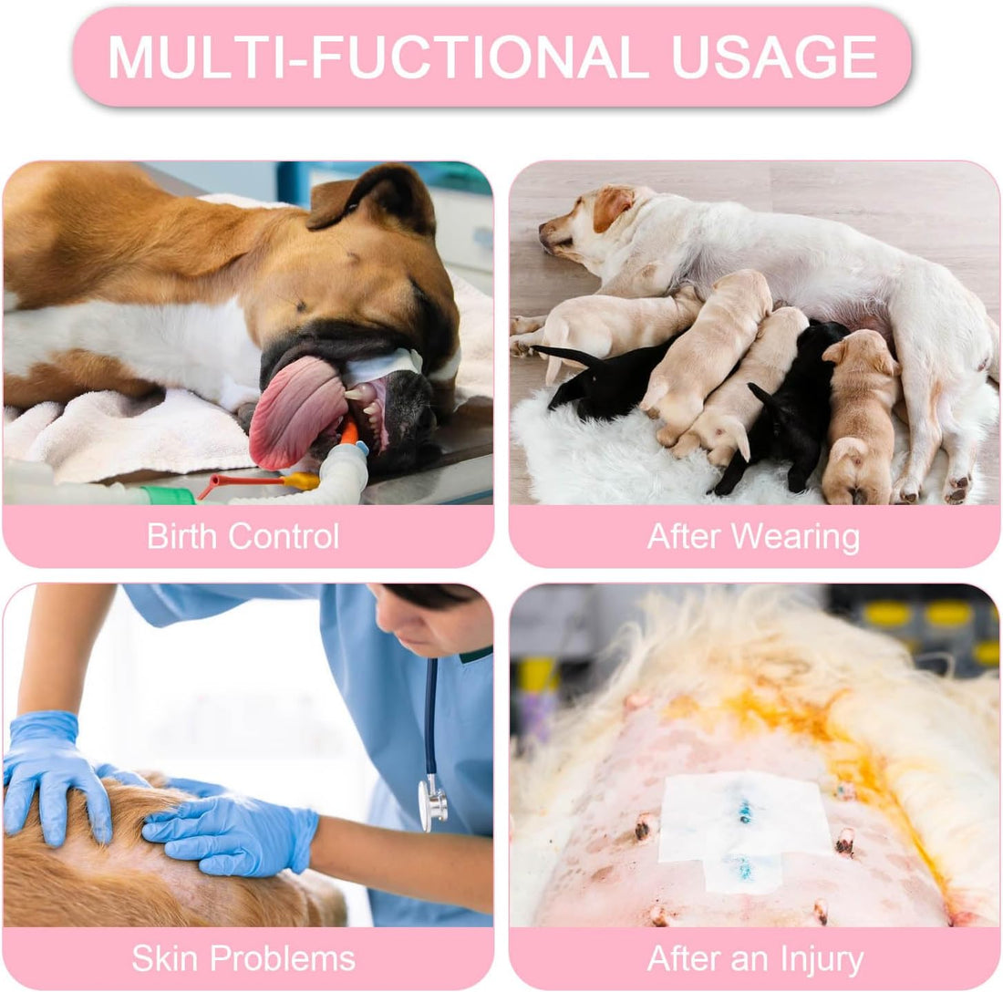 Due Felice Dog Surgery Suit Female Spay Recovery Suit for Dogs