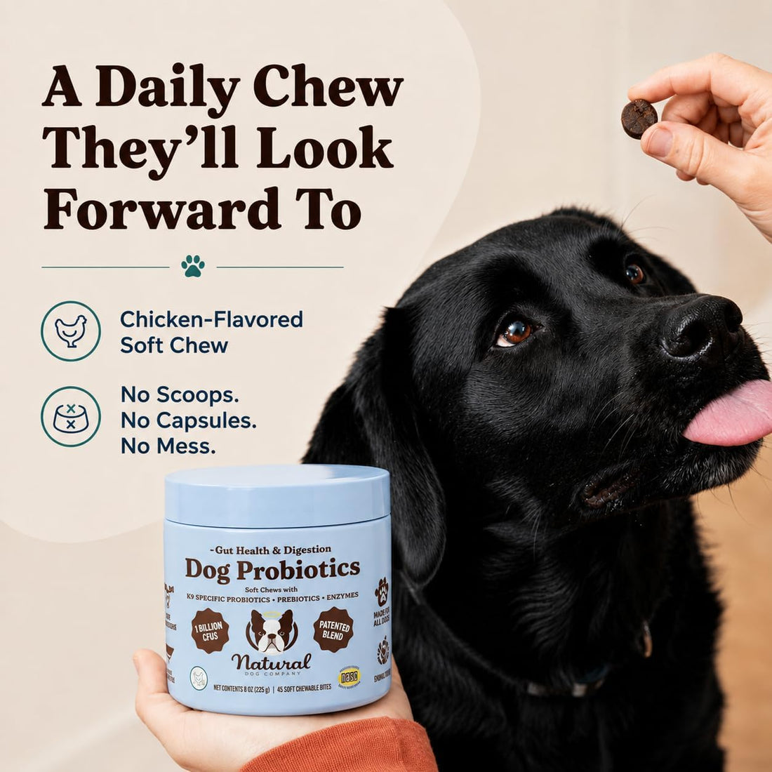 Natural Dog Company Probiotics for Dogs