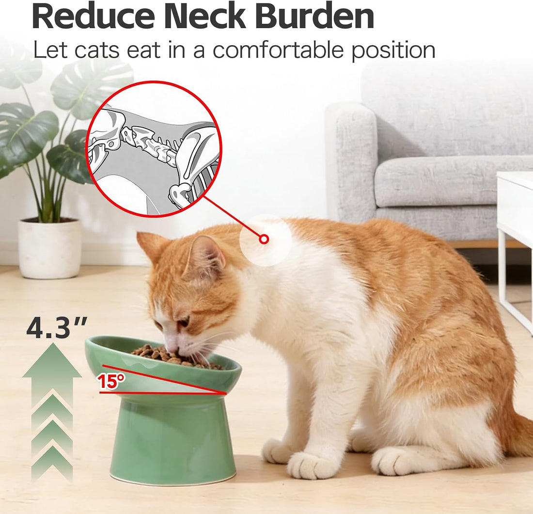 YauYik Raised Cat Bowl, Elevated Cat Food Bowls with Tilted Angle