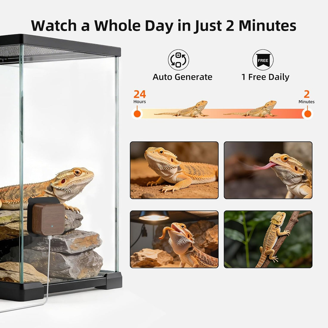 5MP Aquarium & Terrarium & Fish Tank Camera