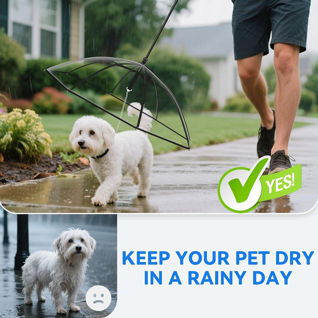 Clear Dog Umbrella for Small Dogs, Doggie Umbrella with Leash