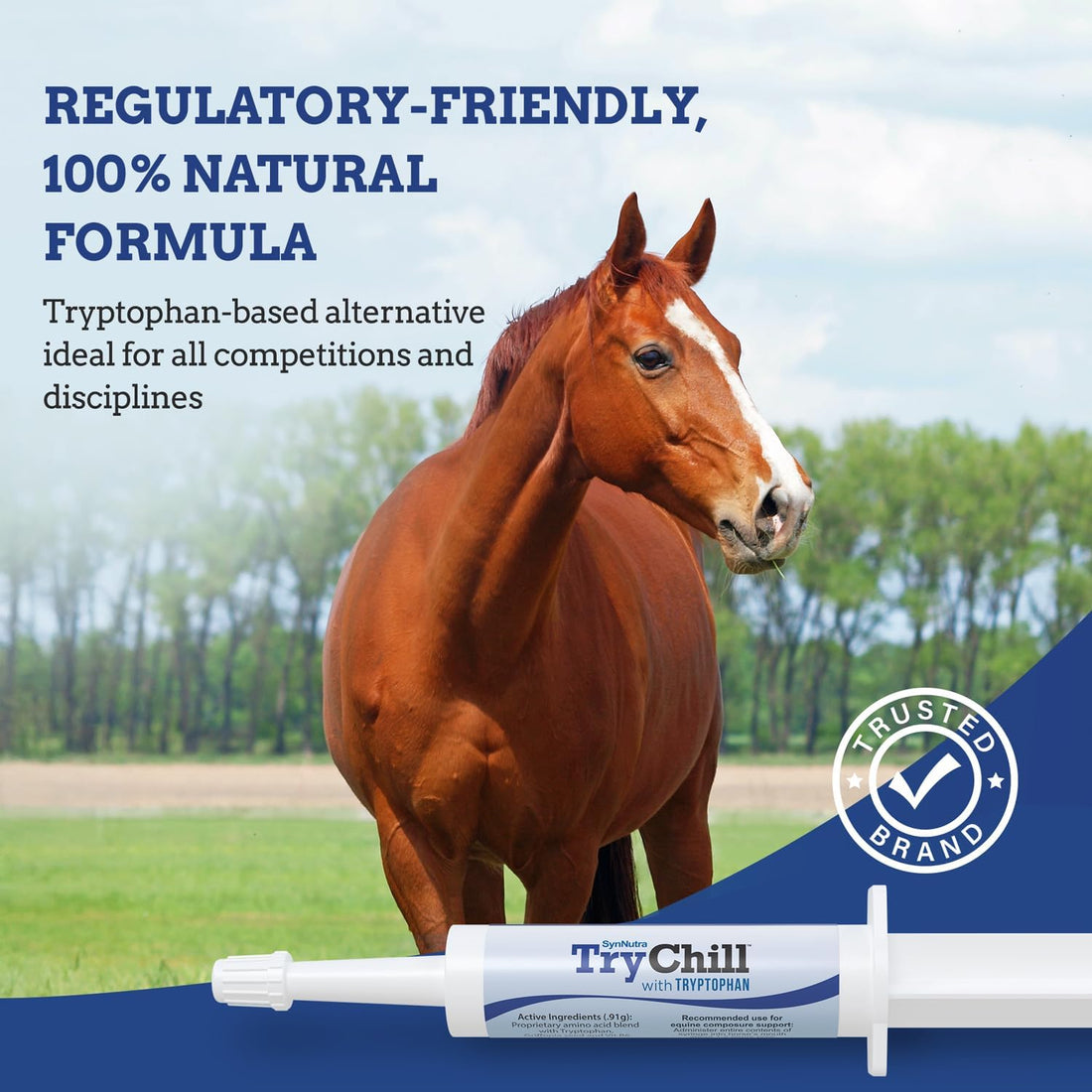 SynNutra TryChill Horse Calming Supplement, 1 Pack | Composure Support