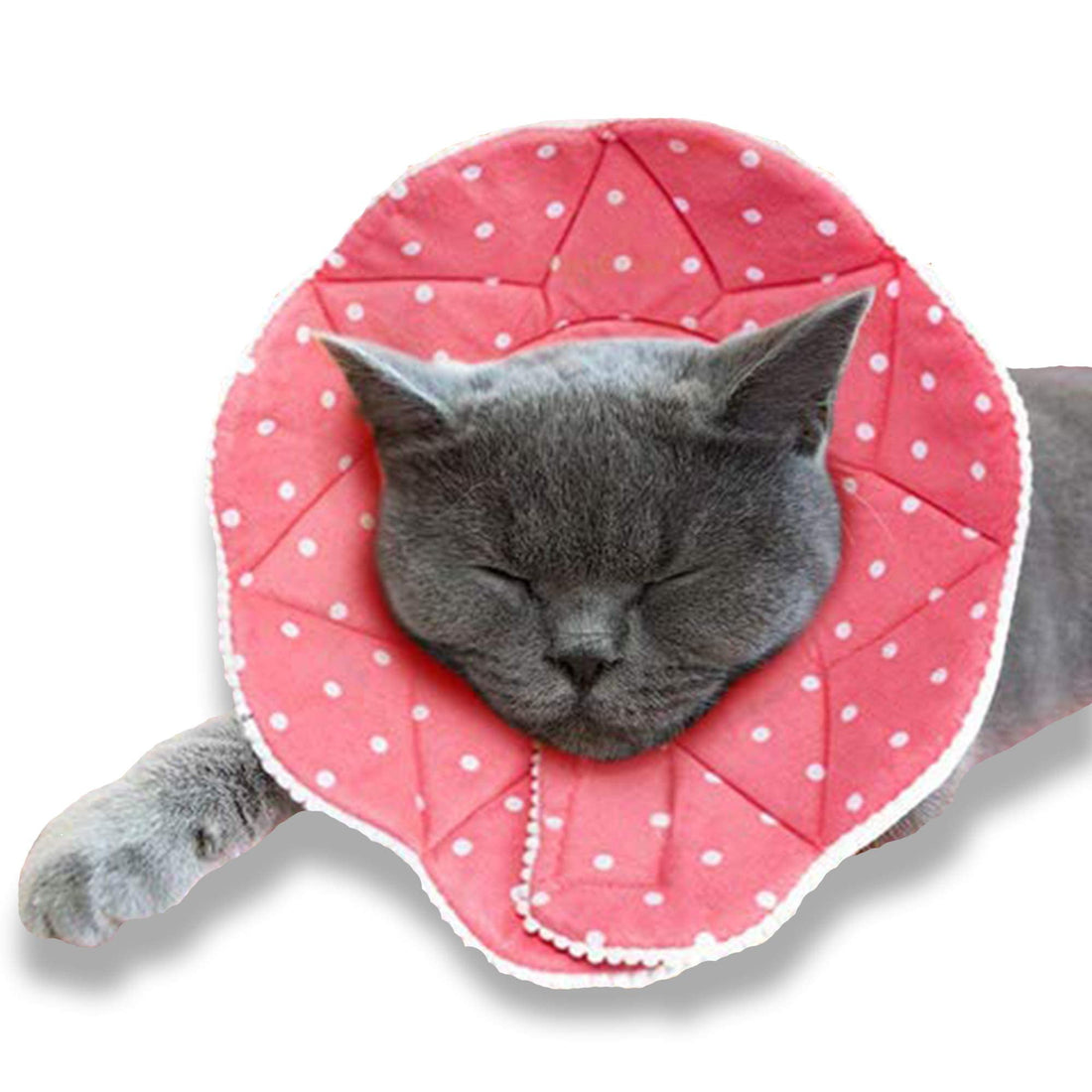 SunGrow Cat Cone Collar Soft