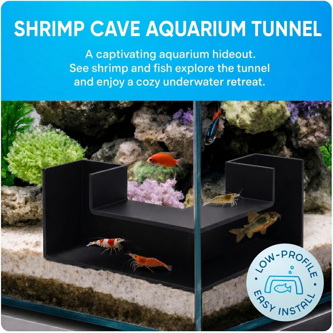 Aquarium Underground Tunnel 5"