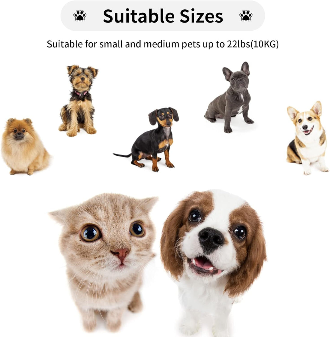 Retractable Dog Leash for Small and Medium Dogs up to 22lbs