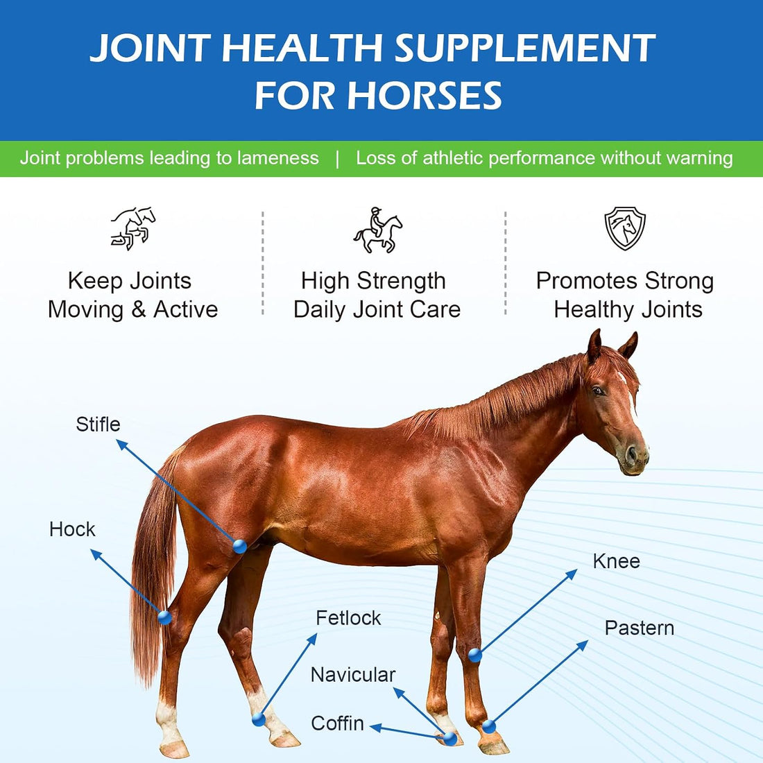 Joint Health Supplement for Horses Powder - Glucosamine, MSM