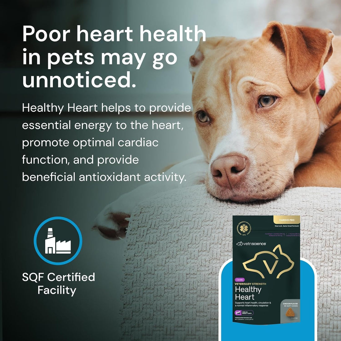 VetriScience Veterinary Strength Healthy Heart Chews, Chicken