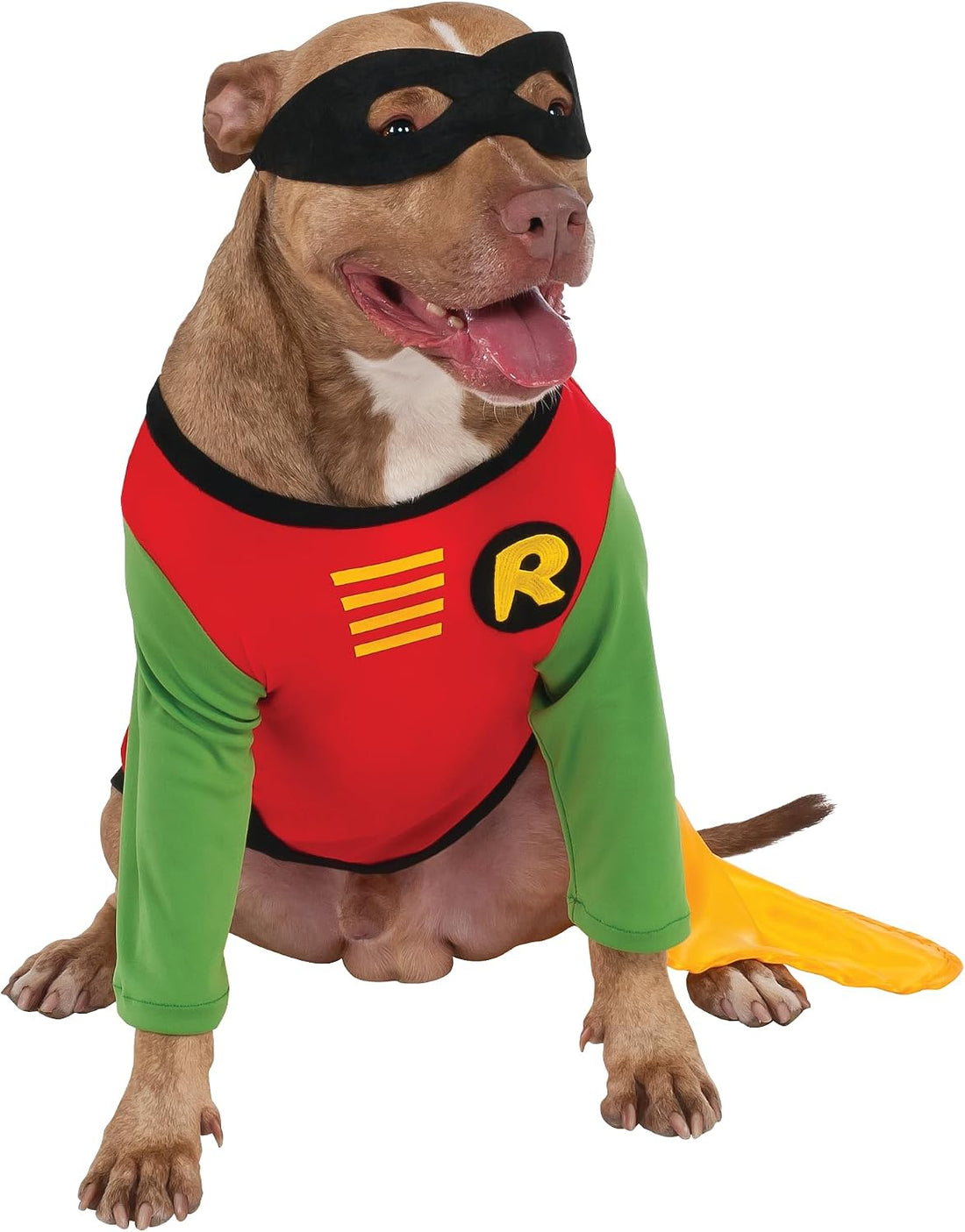 Rubies Teen Titans: Robin Pet Costume for Dogs or Cats