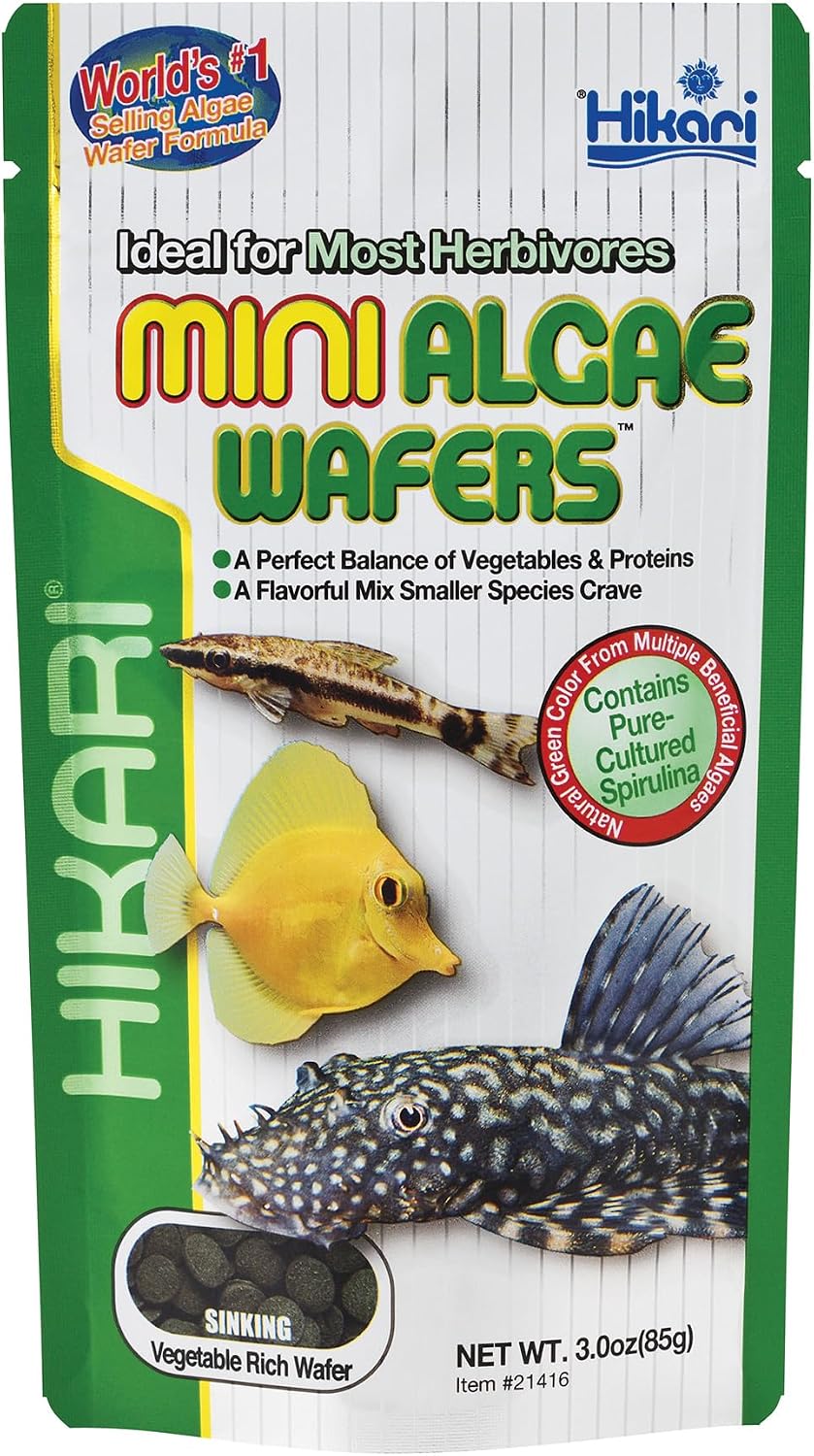 Hikari Mini Algae Wafers, 0.77 oz
