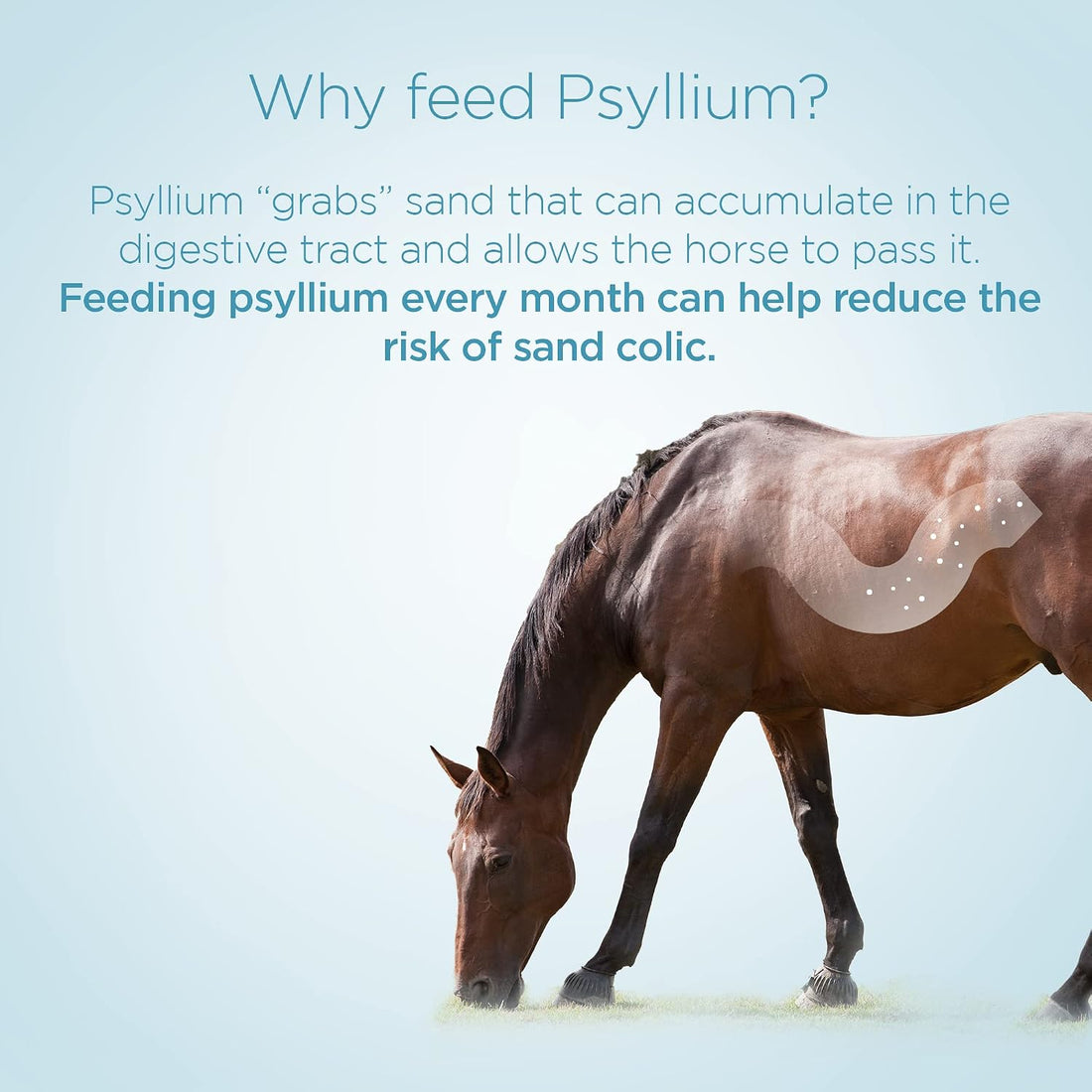 Formula 707 Psyllium Pellets for Horses, 3 lb, 12-Day Supply