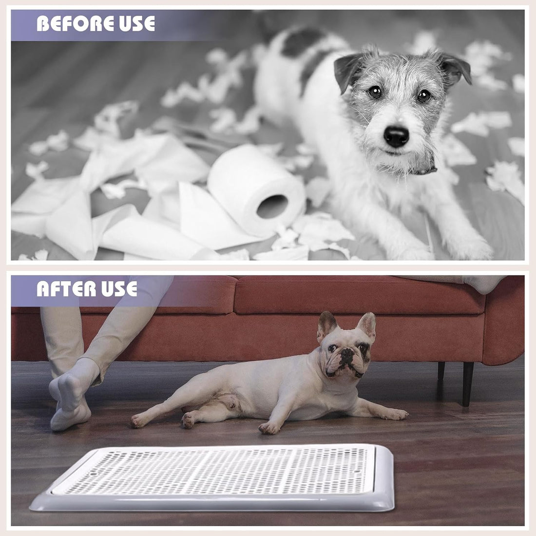 Mifoci 2 Pcs Dog Potty Tray, Mesh Puppy Training Pad