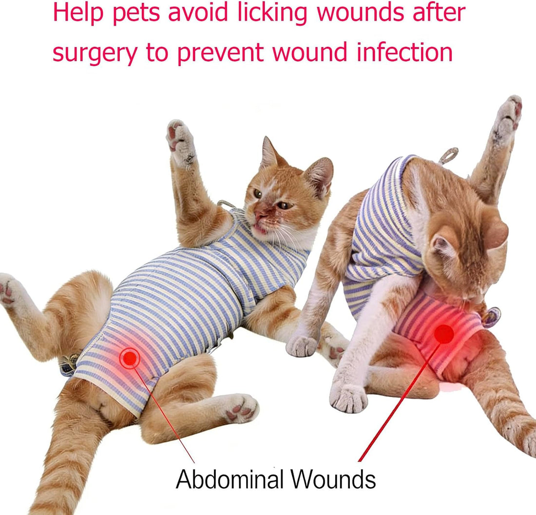 4 pcs Cat Surgery Recovery Suit