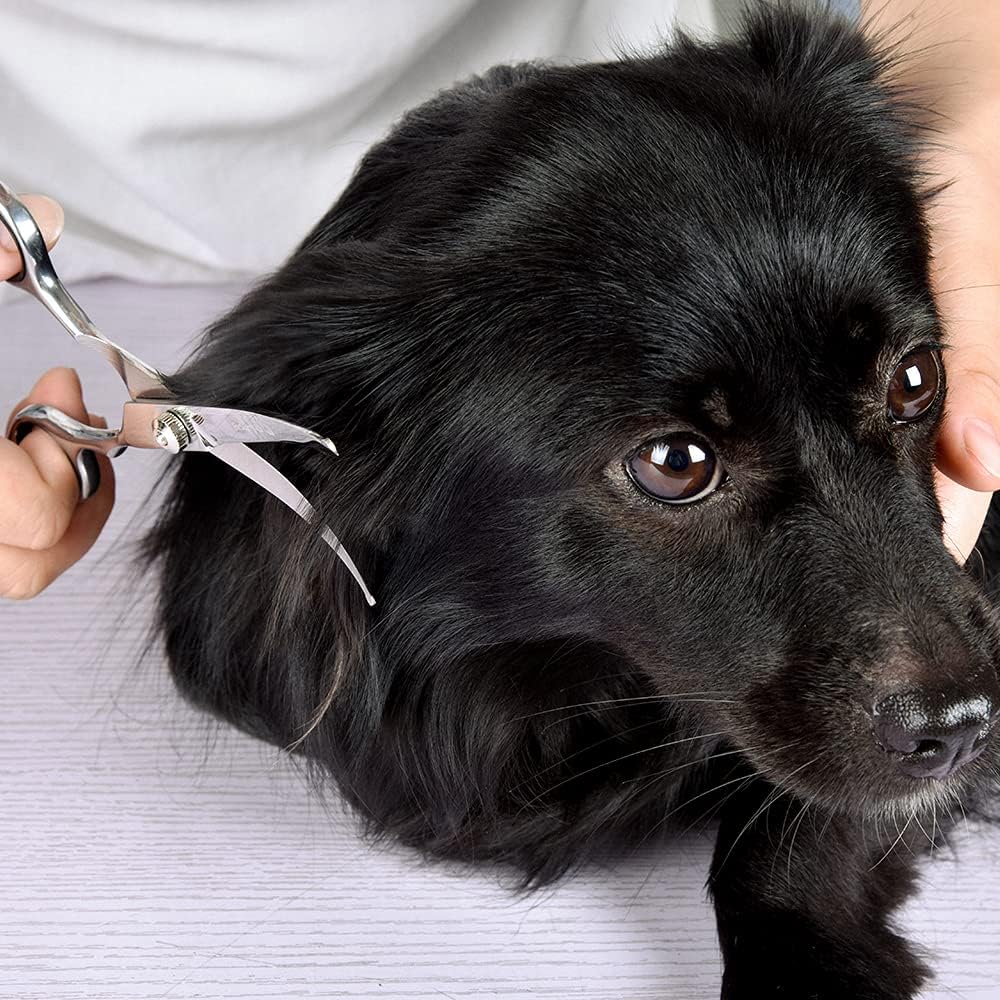 Chibuy Curved dog grooming scissors with Round Tips