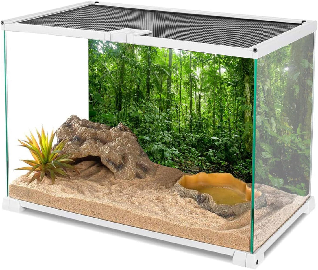 36x18 in Tropical Terrarium Backdrop Green Tree Reptile Habitat