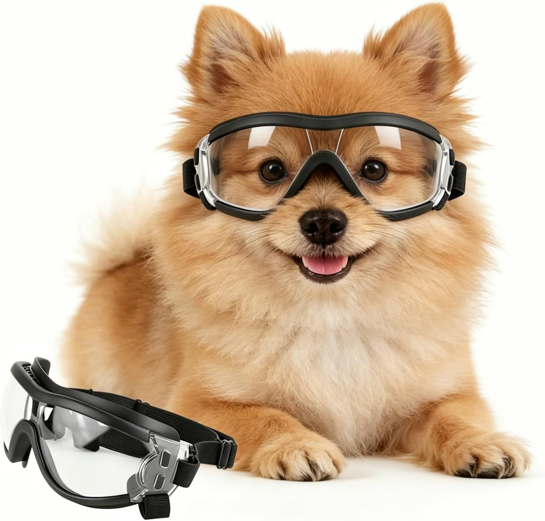 NAMSAN Clear Dog Goggles for Small Dogs