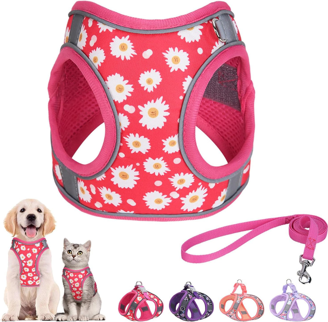 Step in Dog Harness and Leash Set, Pet Vest Harness