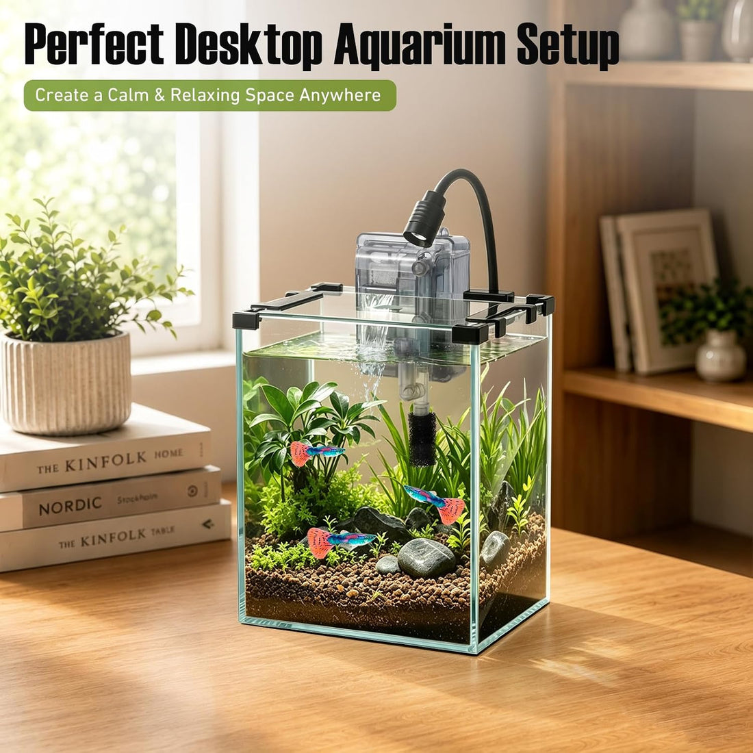 2.2 Gallon Small Glass Fish Tank Kit
