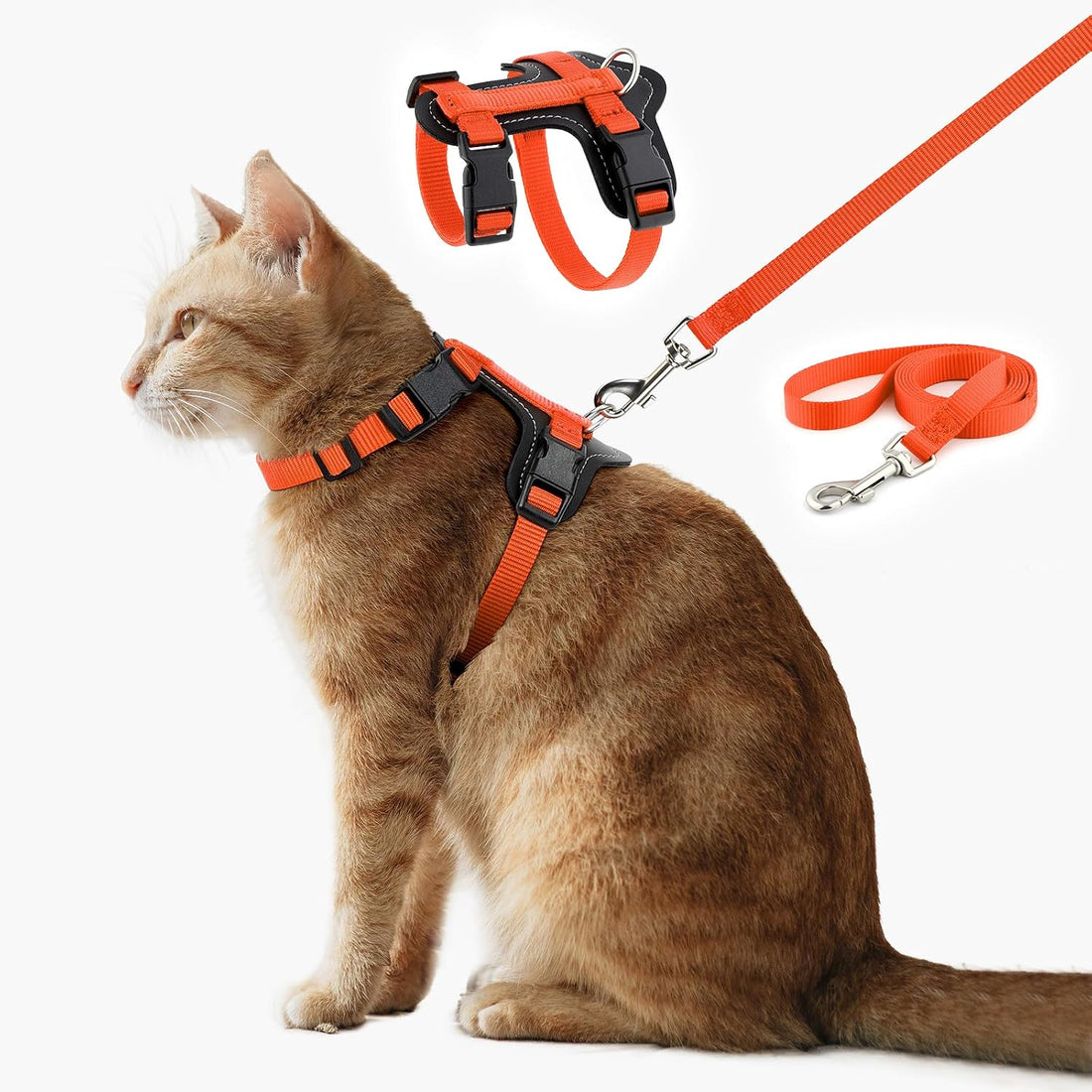 Plutus Pet Adjustable Cat Harness and Leash Set, with Leather Trim