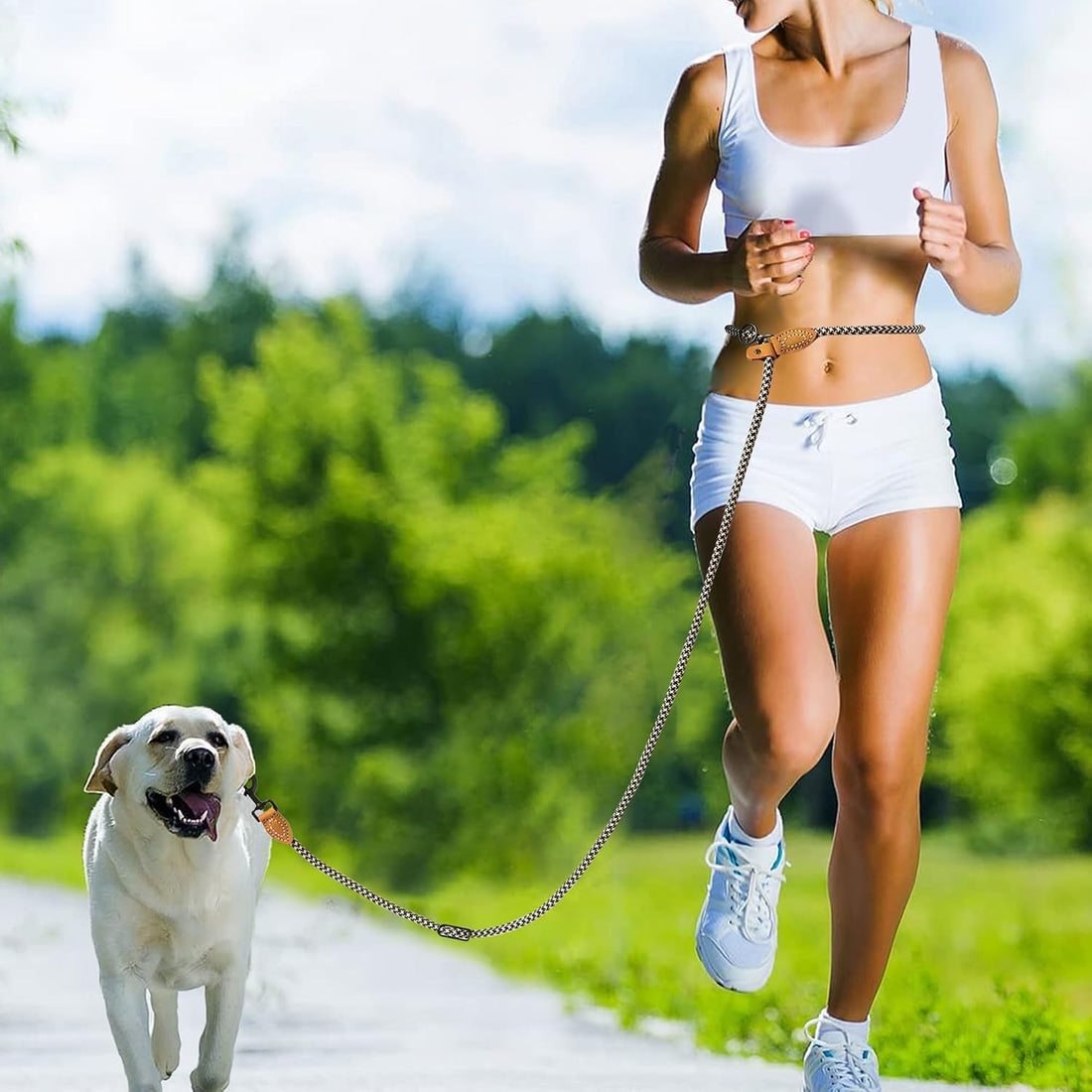 Mile High Life Hands Free Dog Leash