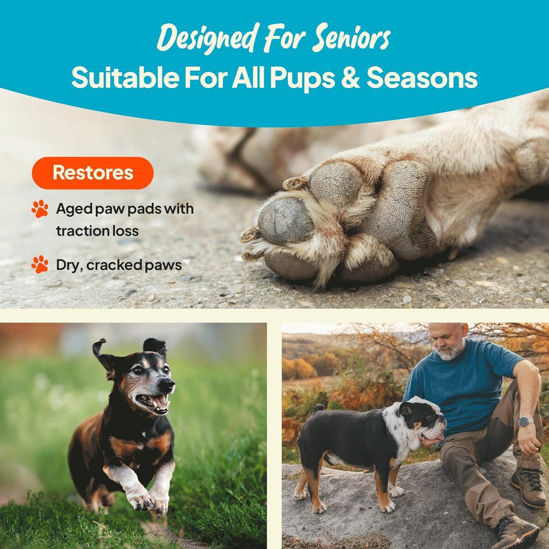 Steady Paws 3-in-1 Paw Balm for Dogs
