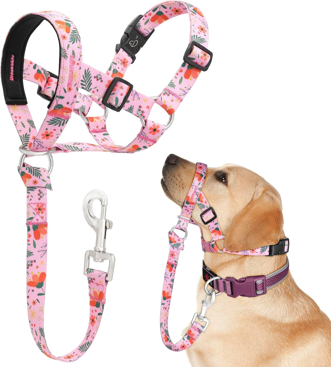 Dog Head Collar, Printed No-Pull Headcollar