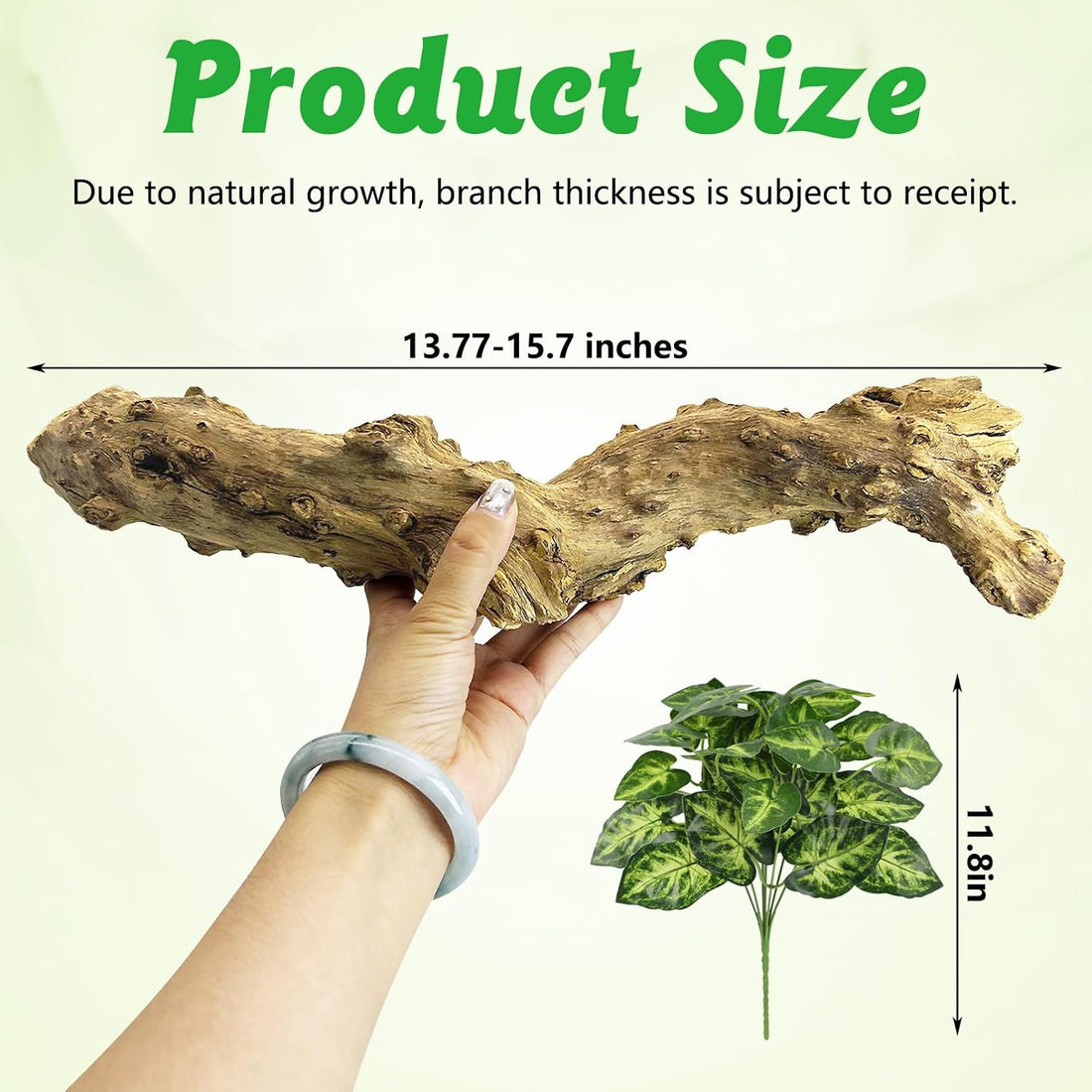 Reptile Branch Decor, Snake Climbing Wood Branches, Terrarium Logs