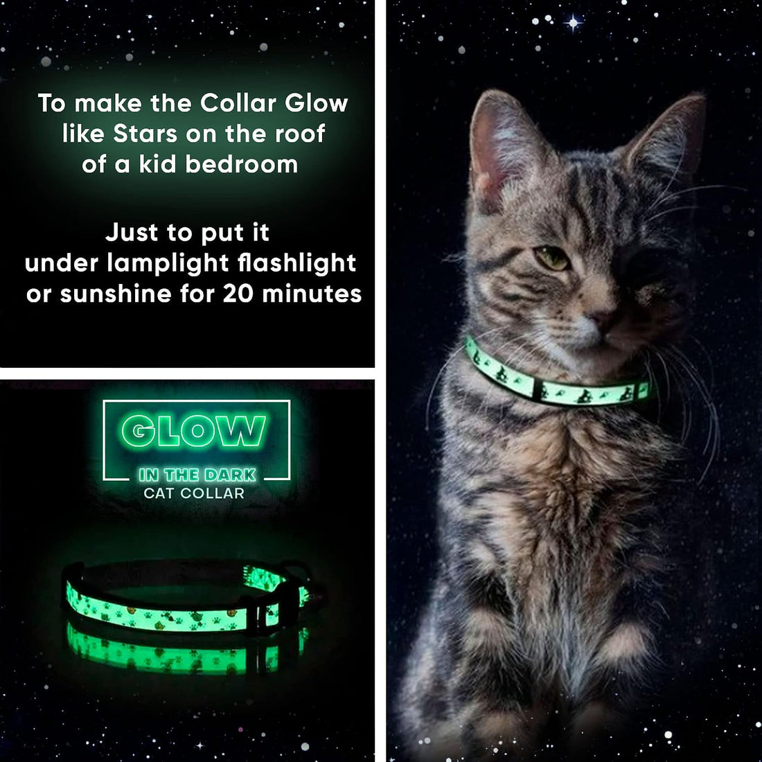 Pawtitas Glow in the Dark Cat Collar with Breakaway Safety Buckle