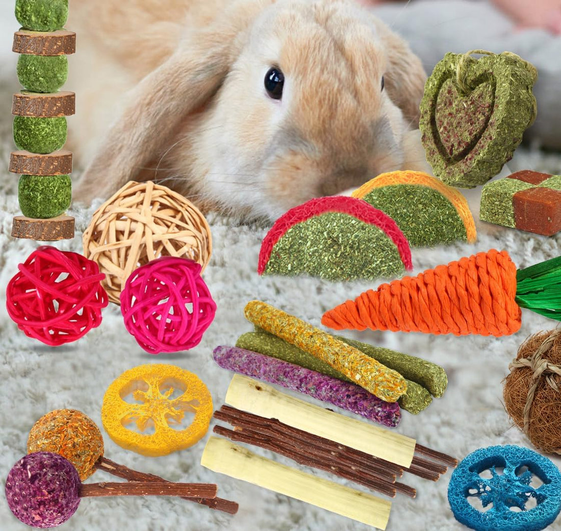 YIXUND Rabbit & Guinea Pig Toys