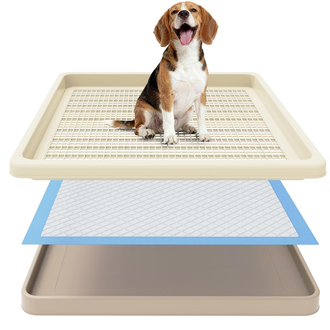 Dog Pee Pad Holder for Small and Medium Dogs