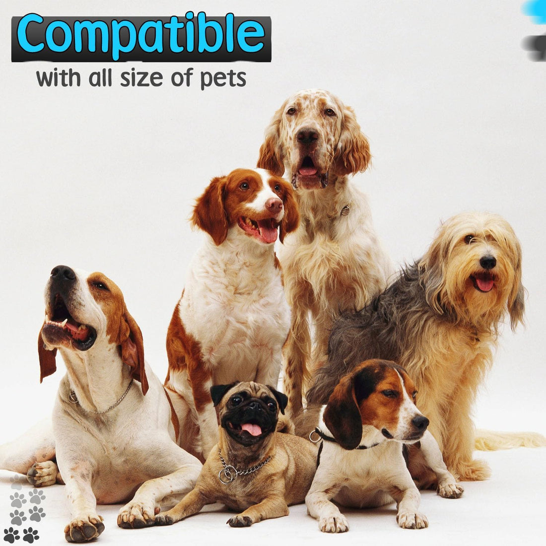 Gentle Leader for Dogs + 2X Free Training Clicker