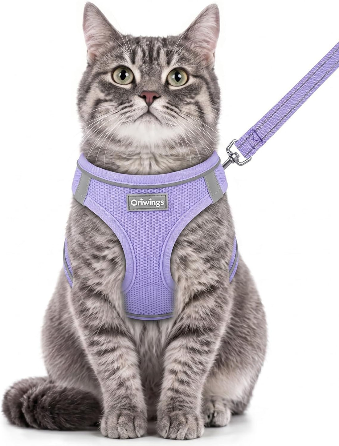 Cat Harness and Leash Set, Step-in Soft Vest