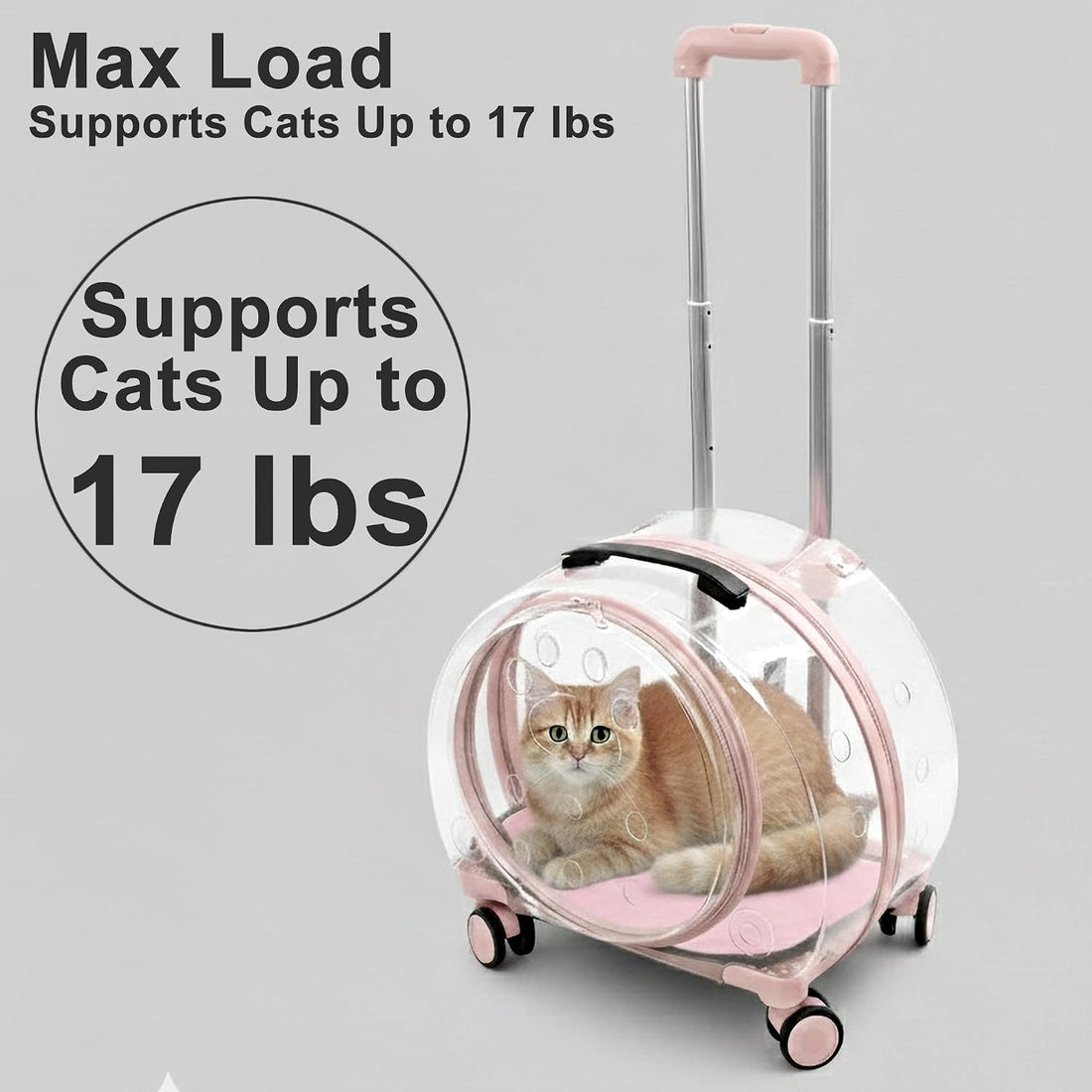Transparent Hard Shell Cat Carrier with Wheels