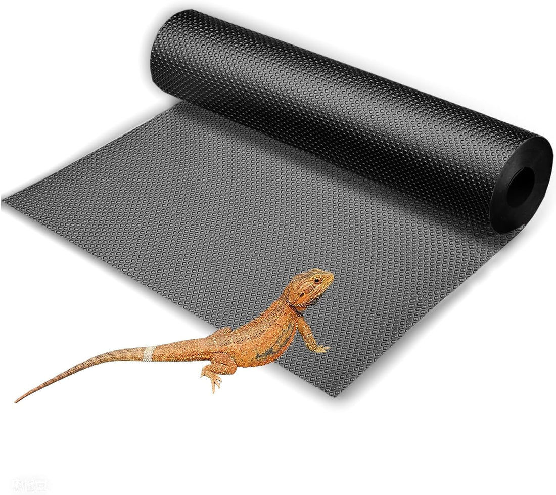 Bearded Dragon Tank Accessories