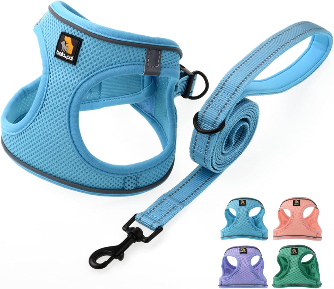 BELLA & PAL Step in Puppy Harness and Leash Set