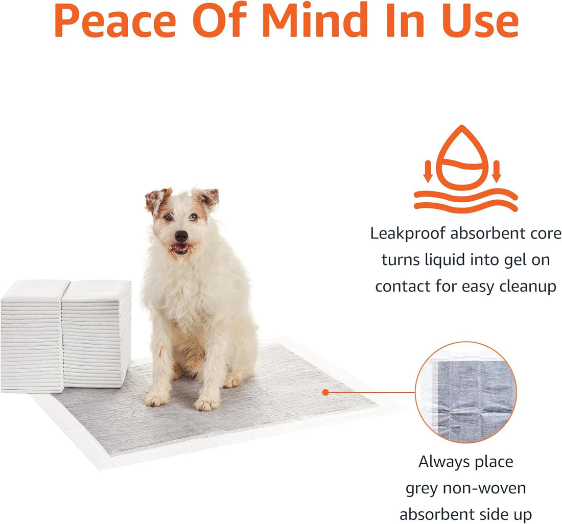 Carbon Odor Control Dog and Puppy Pee Pads