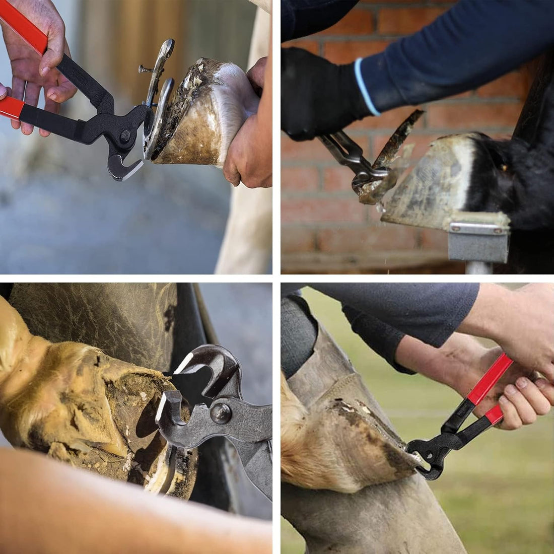 11pcs Farrier Tools Farrier kit Horse shoeing Tools Farrier Supplies