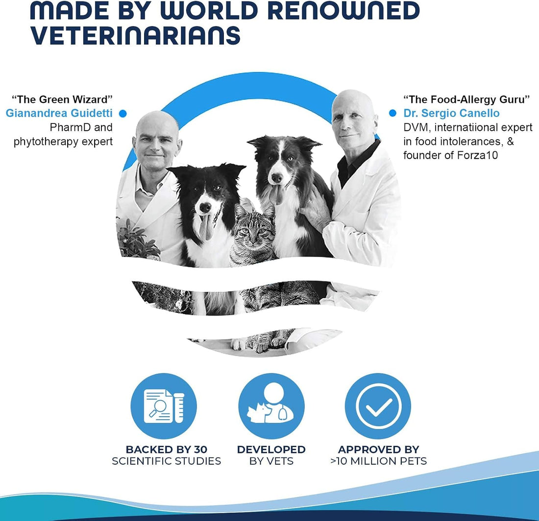 Forza10 Active Colon Dry Dog Food for Adult Dogs - 8 LB - with Anchovy