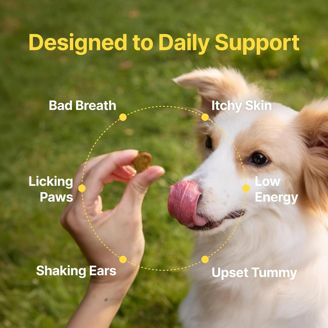 PENPEN Probiotics for Dogs, Dogs Probiotics for Digestive Health