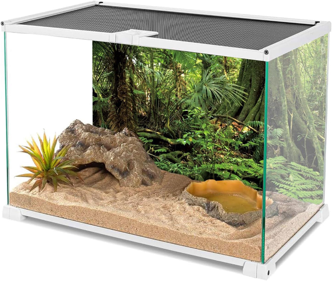 36x18 in Terrarium Backdrop Green Forest Tree Reptile Habitat