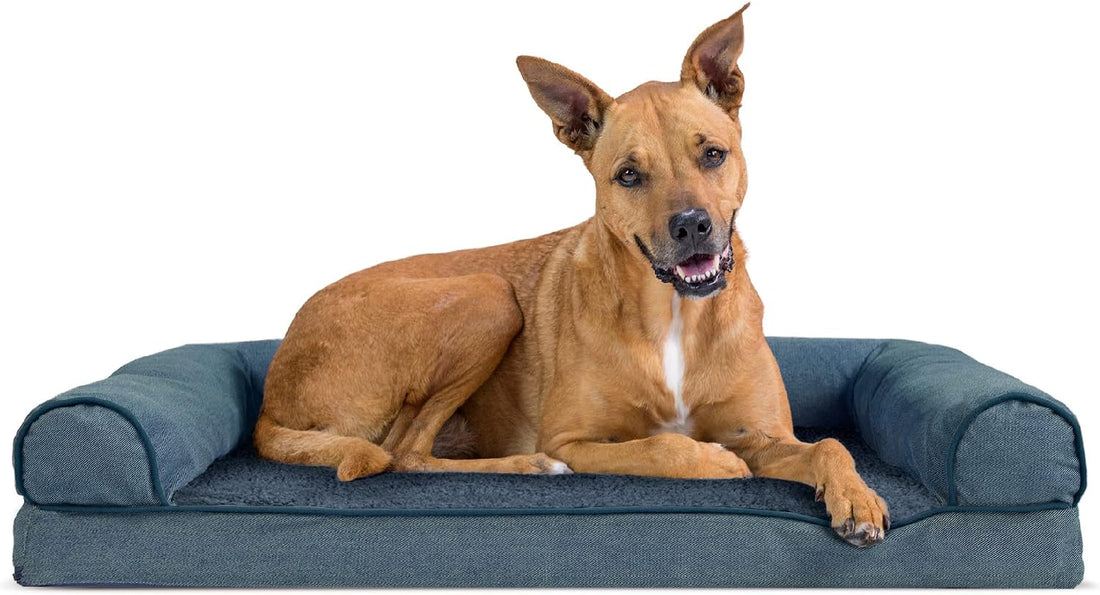 Furhaven Orthopedic Dog Bed for Medium/Small Dogs w/ Removable