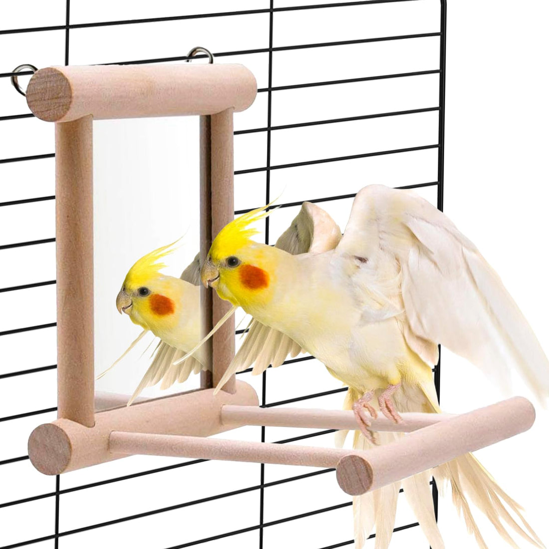 Hamiledyi Bird Mirror Parakeet Mirror Perch Stand Wooden Swing Mirror