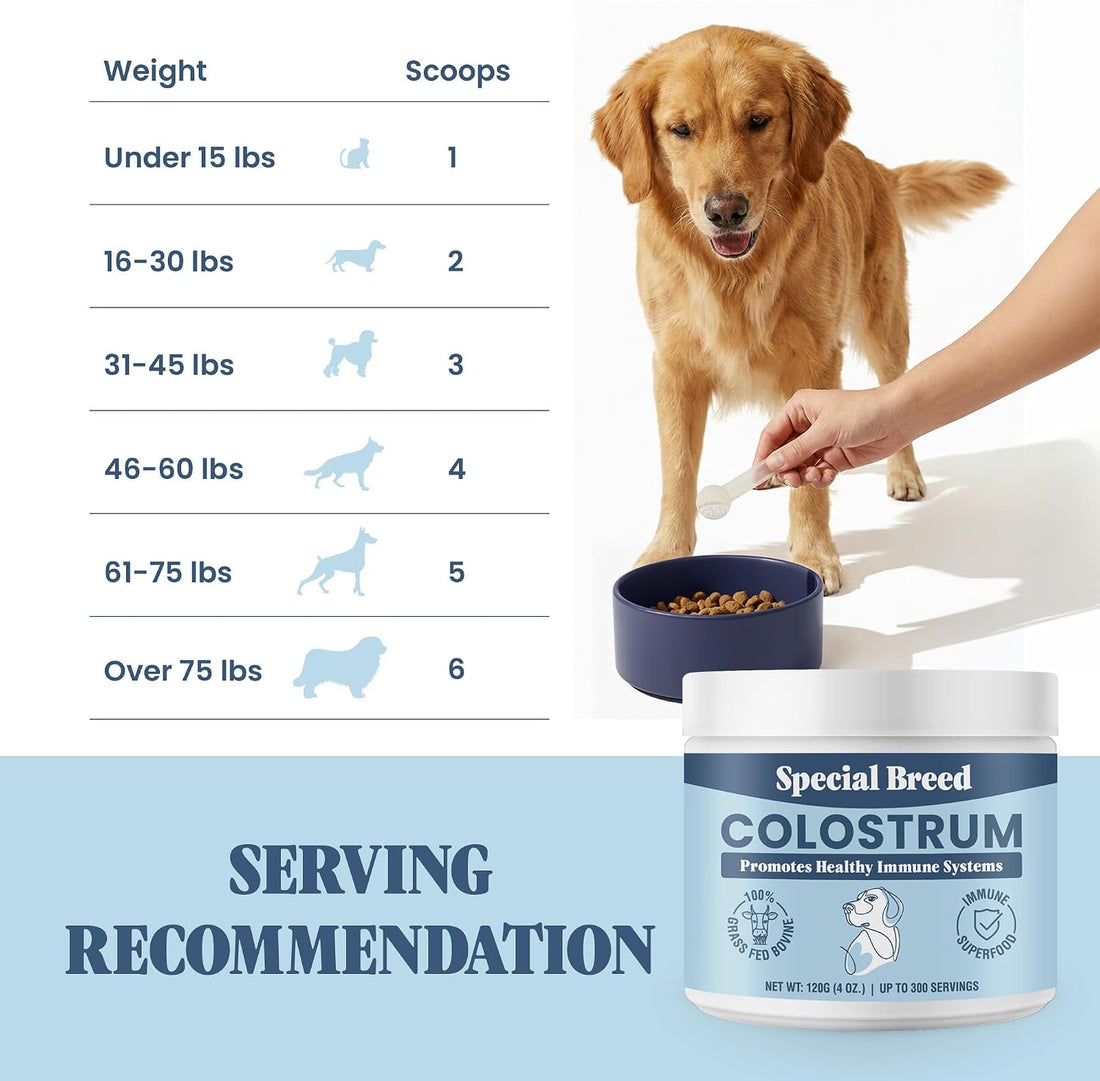 Bovine Colostrum for Dogs and Cats – Grass Fed Colostrum Powder