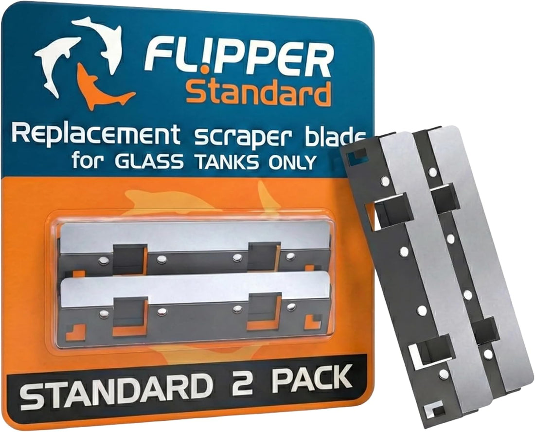 Flipper Standard Algae Scraper Replacement Blades, Stainless Steel