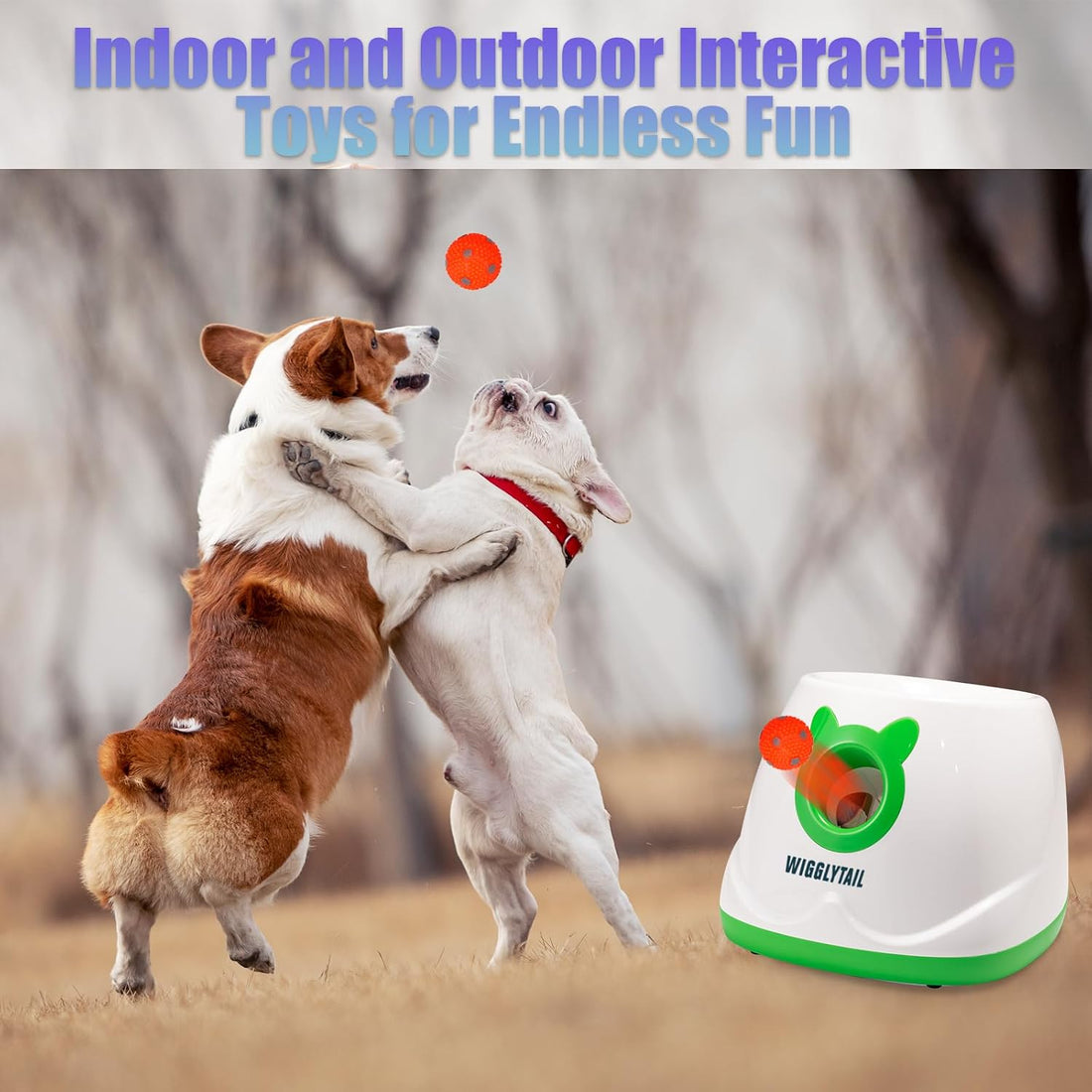 Automatic Dog Ball Launche with 9 Balls (2 inches)